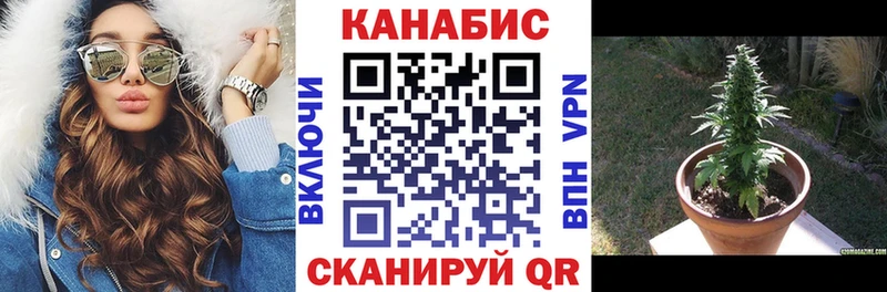 Бошки Шишки Amnesia  сколько стоит  Бабушкин 